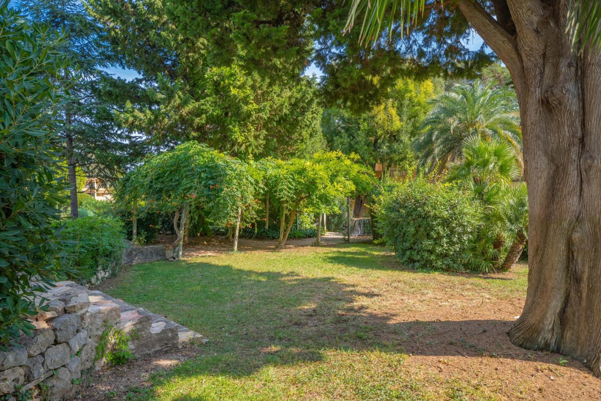 Les 15 Pins & La Mer -Your Green Getaway Near Sea & Beach Antibes Extérieur photo