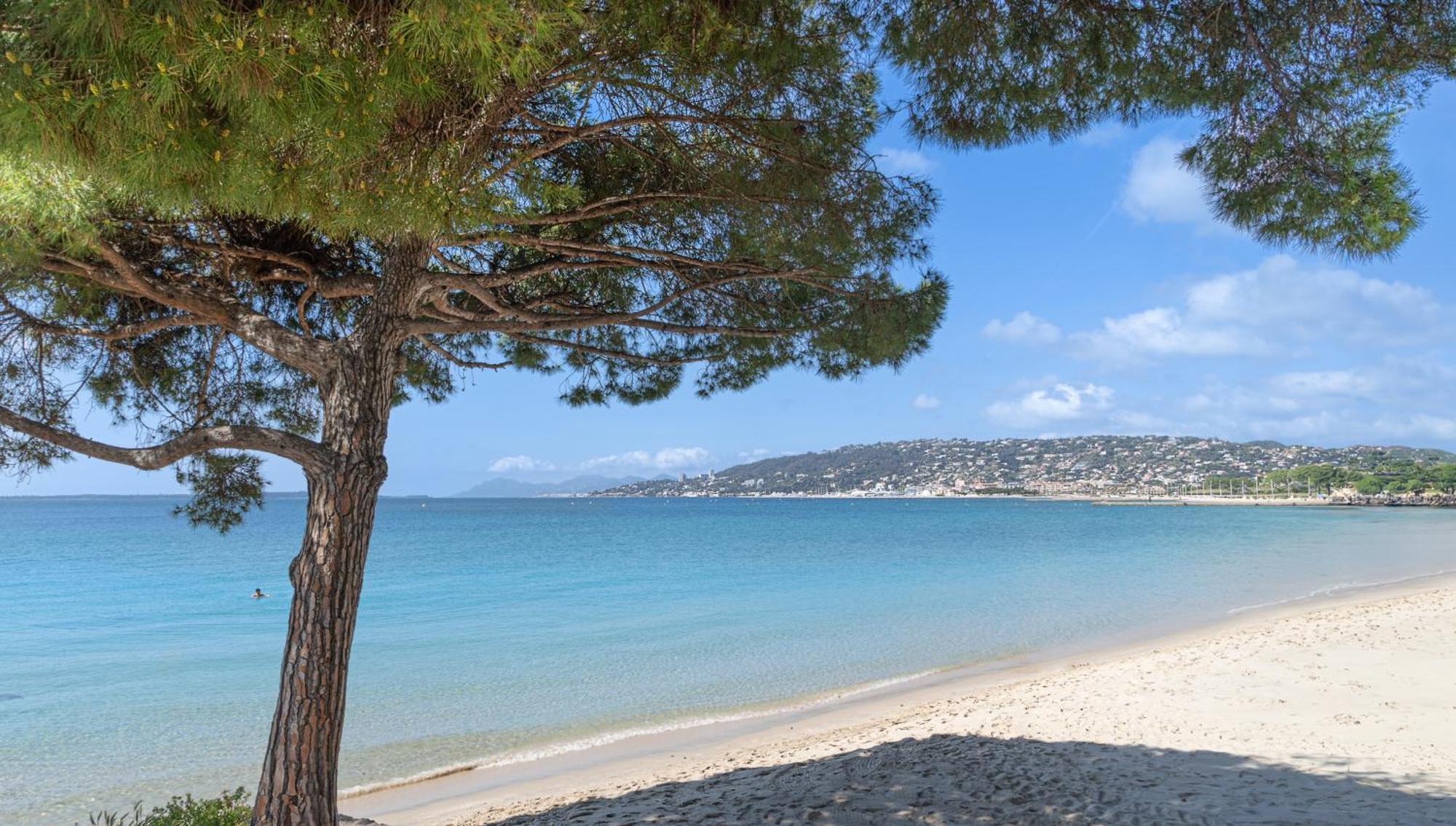 Les 15 Pins & La Mer -Your Green Getaway Near Sea & Beach Antibes Extérieur photo