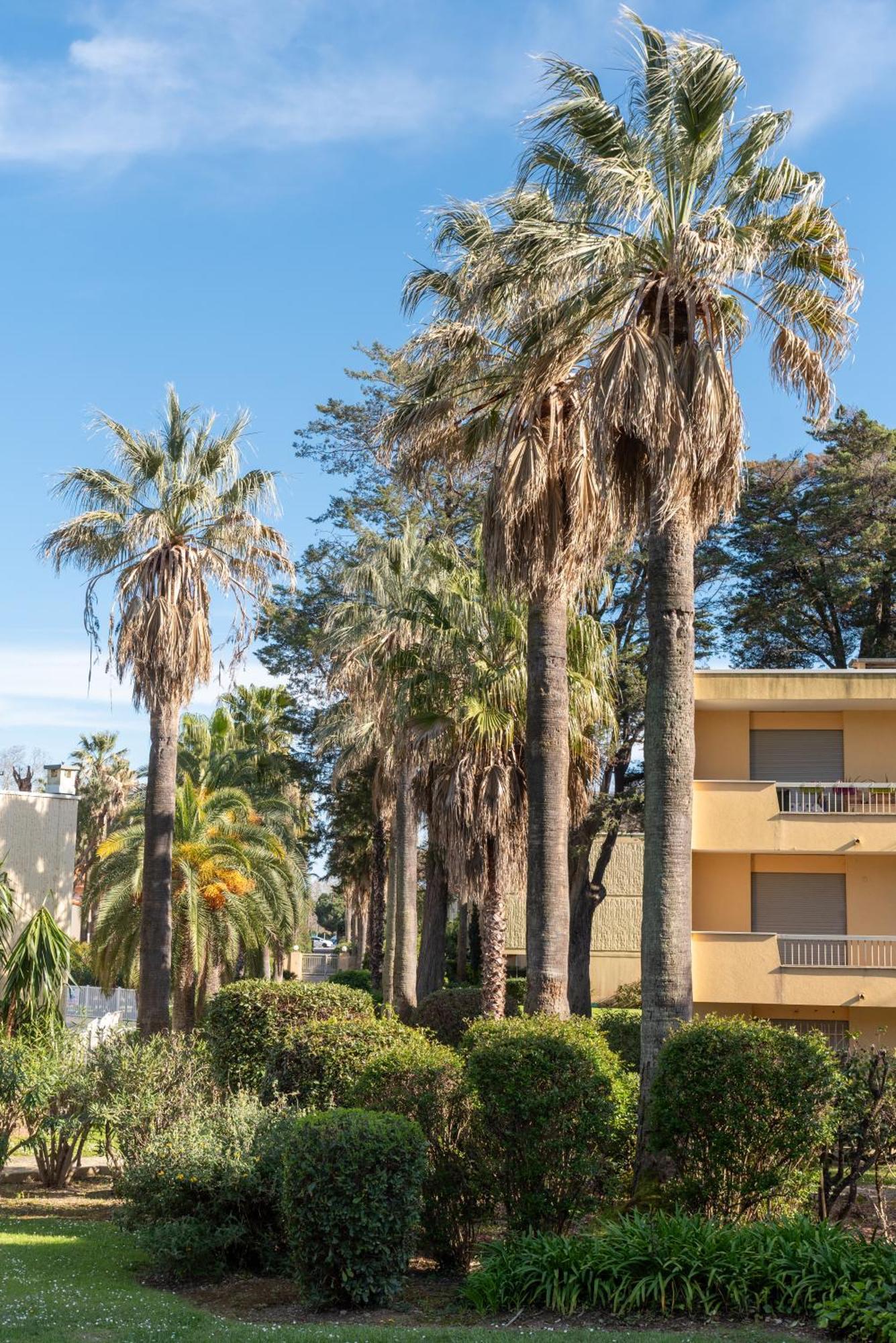 Les 15 Pins & La Mer -Your Green Getaway Near Sea & Beach Antibes Extérieur photo